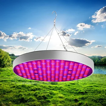 

AMKOY 250 Leds Grow Light Full Spectrum 50W IP44 UV IR LED Growing Bulb for Indoor Hydroponics Flowers Plants Growth Lamp