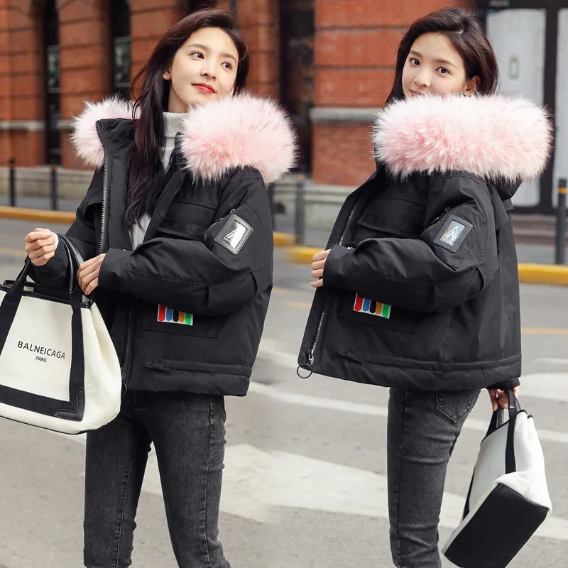 

Large Fur Collar Short Jacket Women's 2019 Winter New Style Short Slim Fit Short-height INS plus Cotton Students Jacket Cotton-p