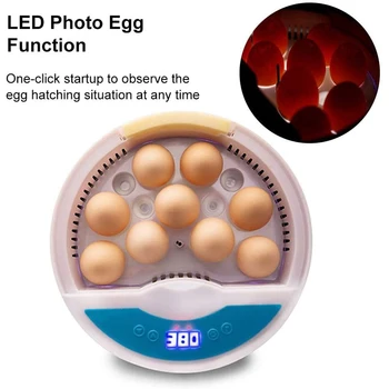 

9 Eggs Semi Automatic Holder Hatchery Egg Incubator Hatcher for Chicken Duck Bird Pigeon Quail