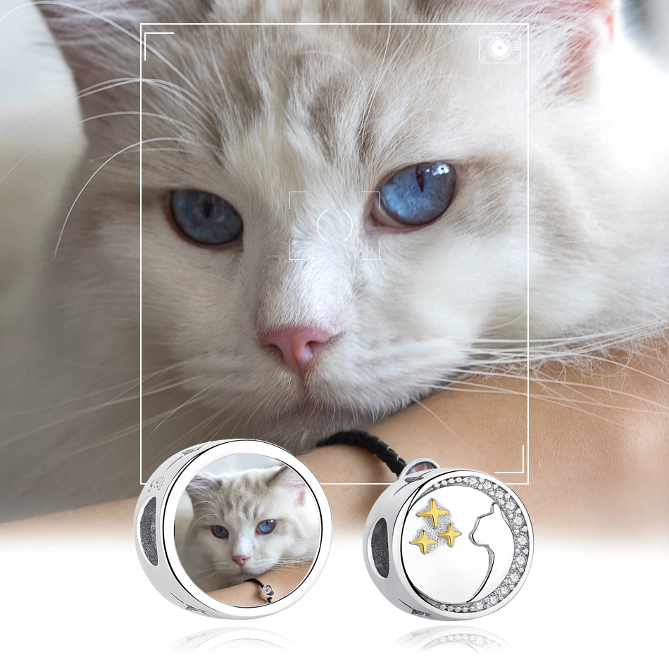 Персонализированные фото Шарм индивидуальные Pet Cat 925 пробы Серебряный Шарм бусины подходят подлинный браслет ожерелье DIY ювелирные изделия