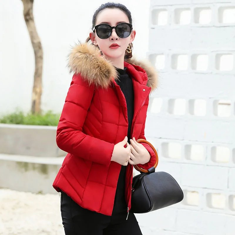 

China Gedi Love down Jacket Women's Short yu rong ao Winter down Jacket 2019 New Style WOMEN'S Dress Korean-style Winter Coat