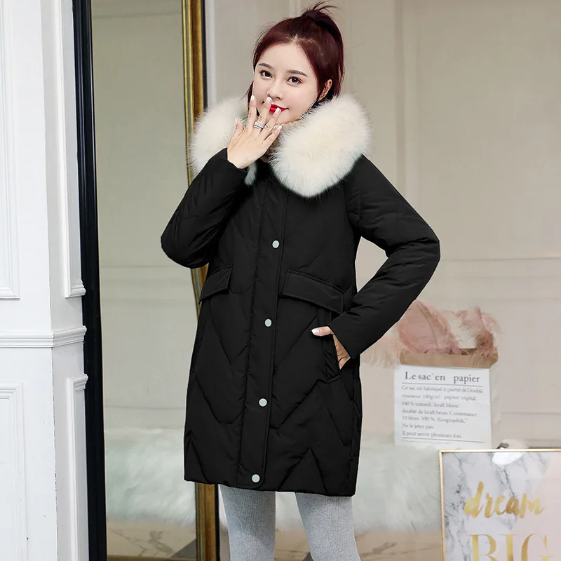 

2019 Autumn And Winter Cotton-padded Clothes/Cotton Coat Warm Solid Color Long Sleeve Simple Elegant