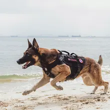 OneTigris X Разрушитель K9 жгут с 3 рукоятками сверхмощный жилет для собаки с металлическими пряжками MOLLE тренировочный жгут для обслуживания собаки OneTigris X Разрушитель K9 жгут с 3 рукоятками сверхмощный жилет для собаки с металлическими пряжками MOLLE тренировочный жгут для обслуживания собаки