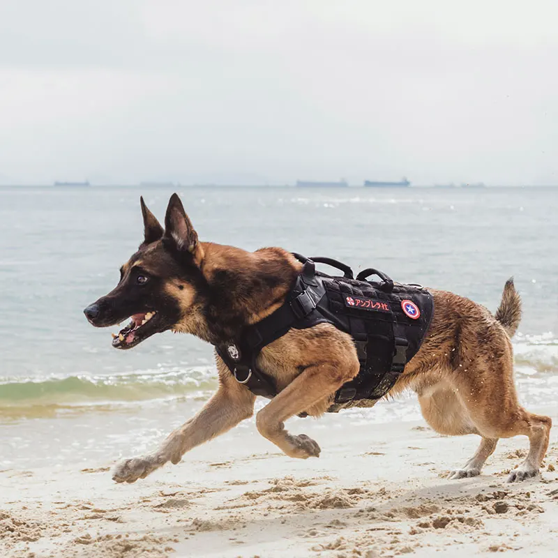 Шлейка для собак OneTigris X уничтожитель K9 с 3 ручками сверхпрочная жилетка