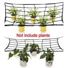 

100/120CM Black Elastic Trellis Net W/Hooks Plant Support Netting For Grow Tent Outdoor Garden Plant Care Accessories