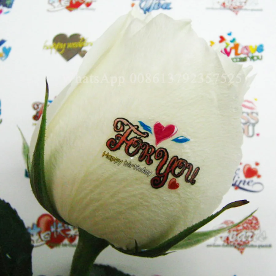 Рисунок 4 - Машина для дизайна ногтей