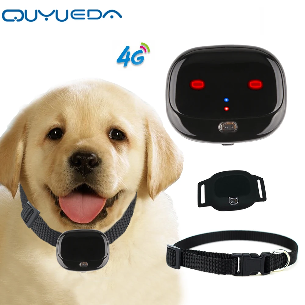 Traceur GPS Pour Chien/chat Forme Griffe - Étanche, Alarme, Localisation Temps Réel | Pour Clés, Sac, Animaux Domestiques