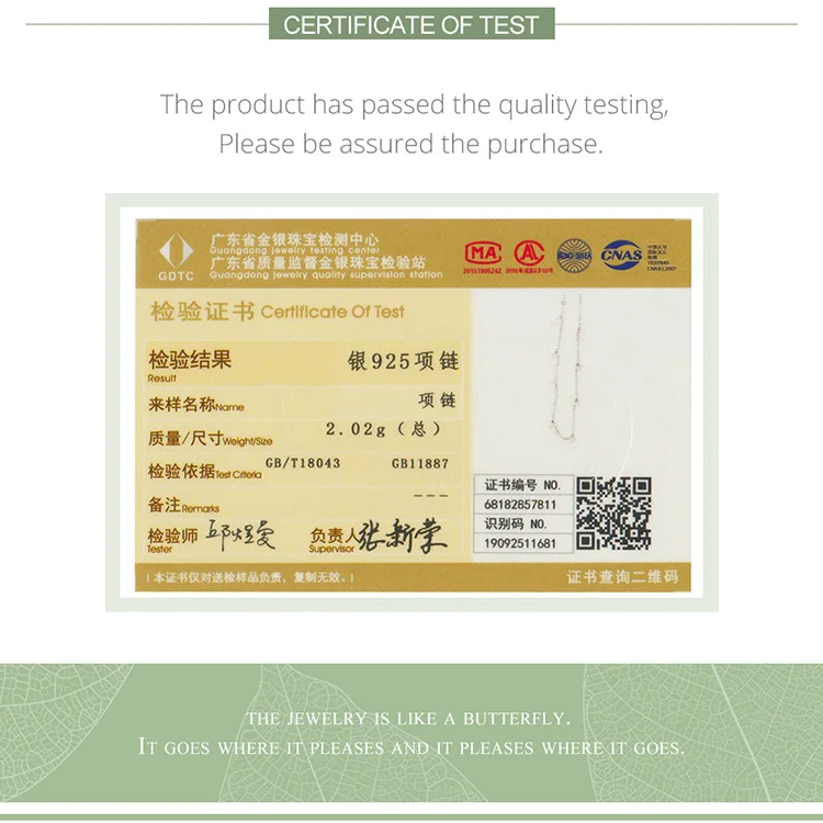 SCN299-b_11