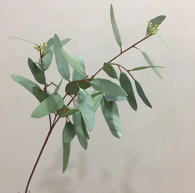 

MBF Realistic Artificial Flowers Wholesale Plants Artifical Long Stem 113cm Eucalyptus Leaves