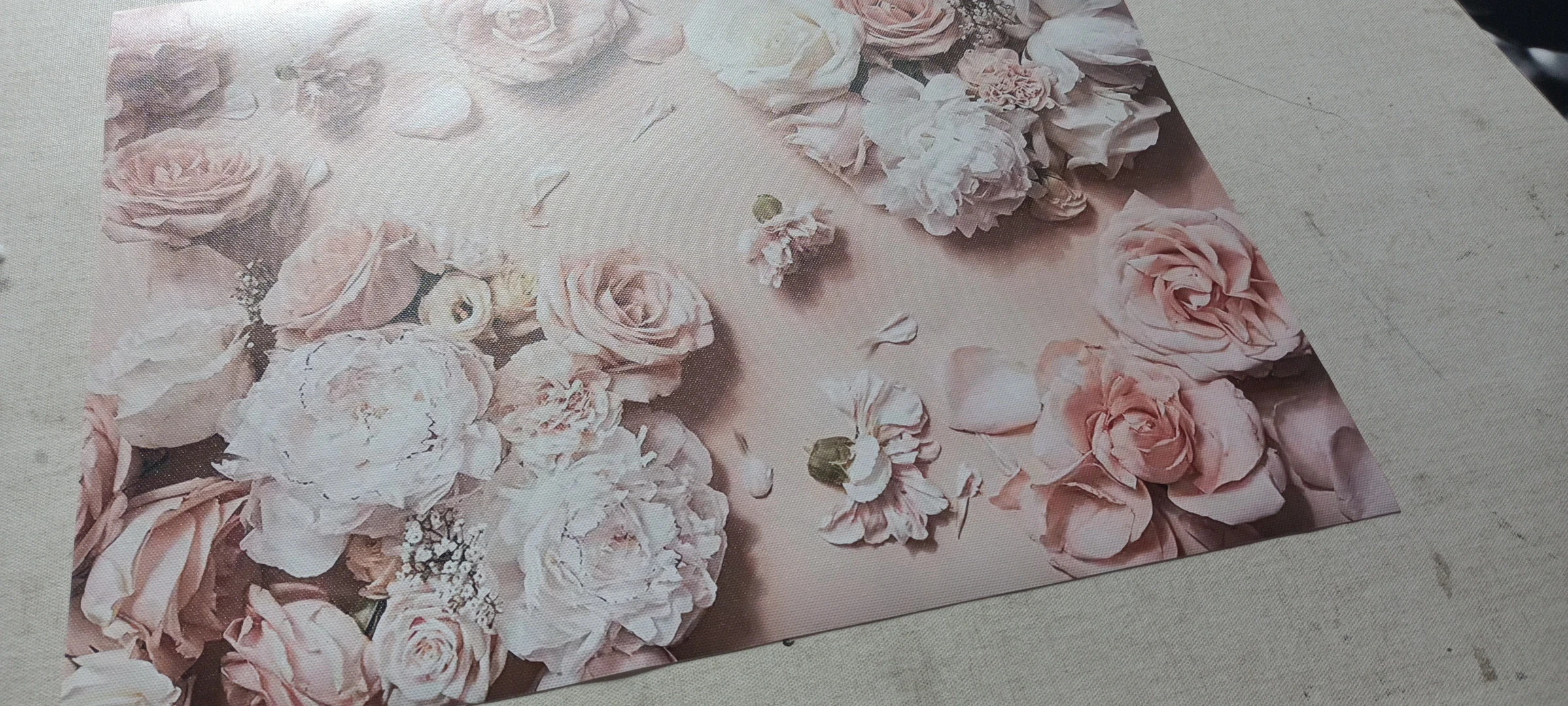 Plant Flowers Canvas Painting Minimalist Text Posters and Prints Black and White Architectural Wall Pictures for Living Room Art