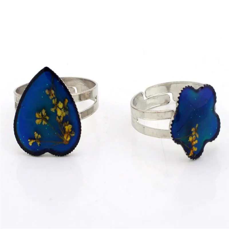 Wholesale 5pcs Chang Color Mood Rings for Women Dried Flower Adjustable Mix Lot Heart Square Shape Ring Jewelry