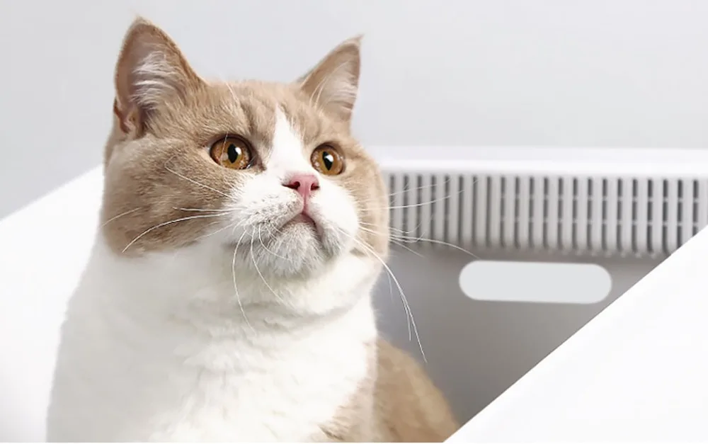Xiaomi PETKIT Pet Inductive deodorant Cats  (16)