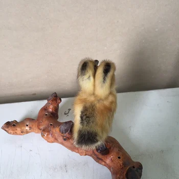 

TAXIDERMY FREAK 2HEAD DUCKLING DUCK,Stuff Bird toy ,#a15