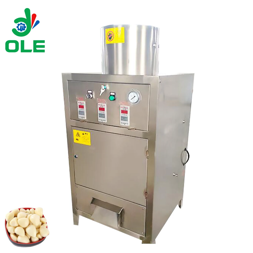 100kg/h Completely Automatic Garlic Peeling Machine - AliExpress