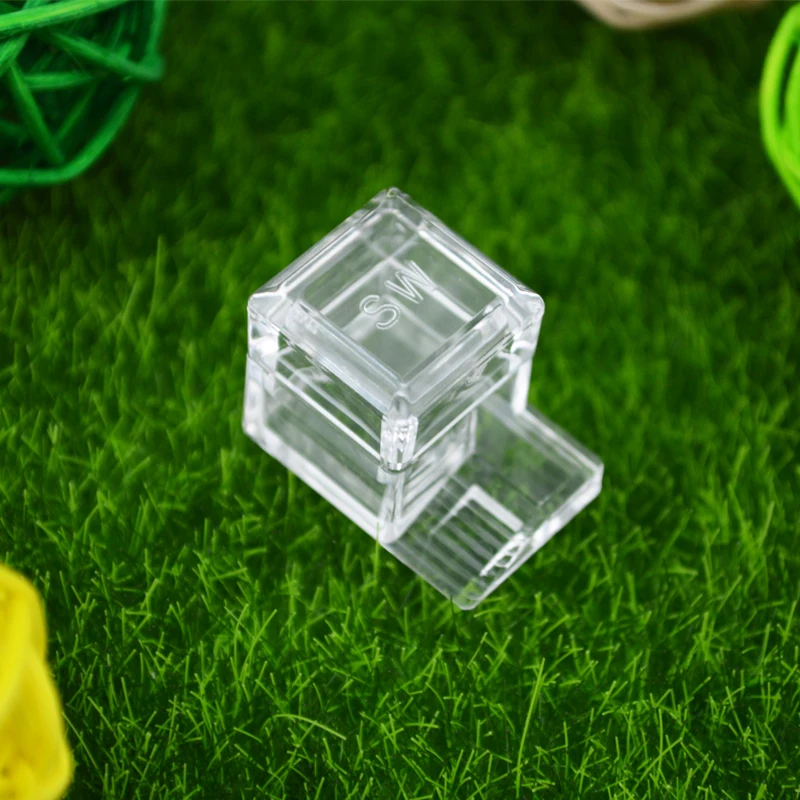 Water Storage For Ants & Insects Water Feeding Water Container