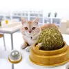 Natural Catnip Cat Wall Stick-on Ball Toy Treats Healthy Natural Removes Hair Balls to Promote Digestion Cat Grass Snack Pet ► Photo 2/6