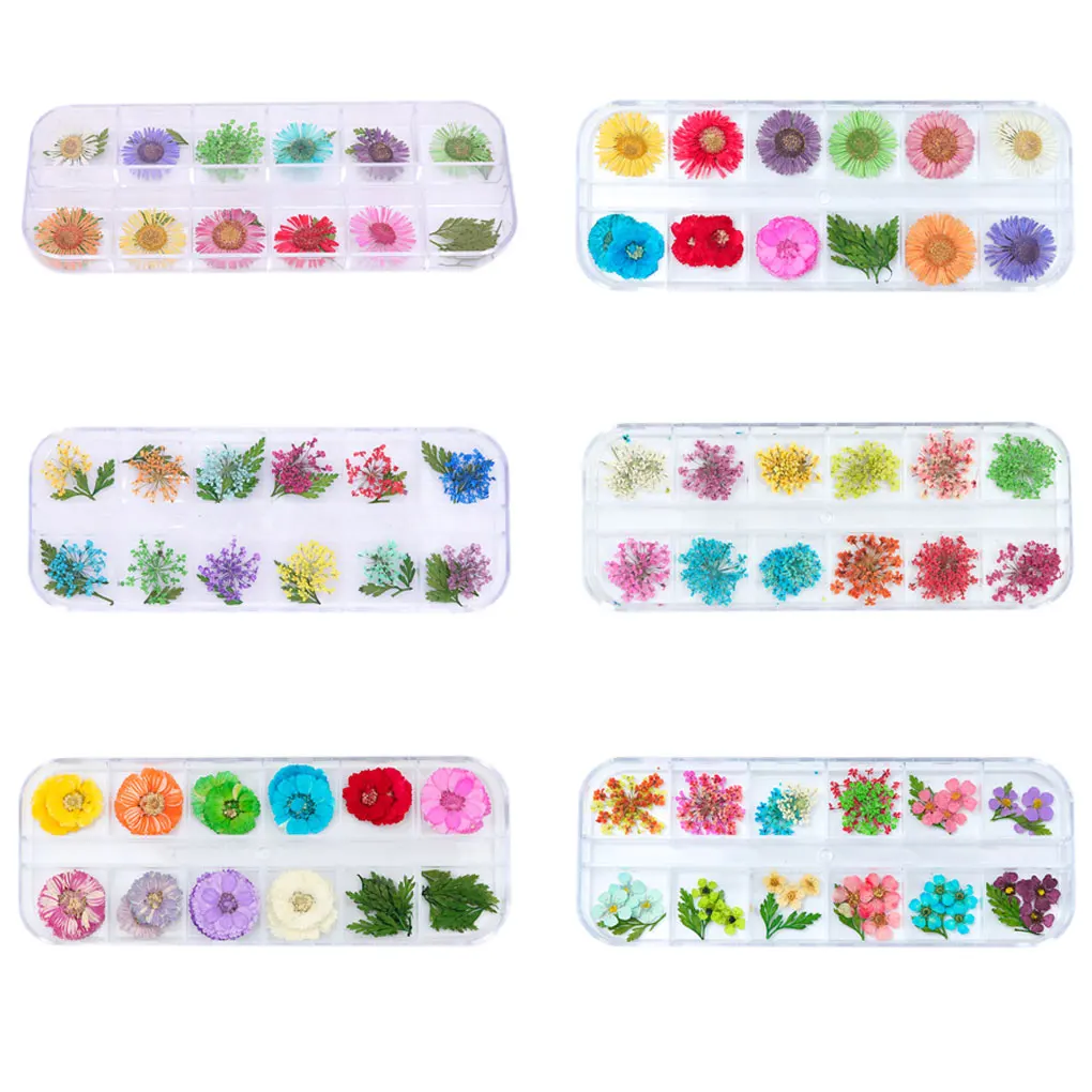 12 Grid Nail Art Nature Dry Flowers Set Gel Polish Tip 3D DIY Floral Slices Decal Manicure Pedicure Decoration