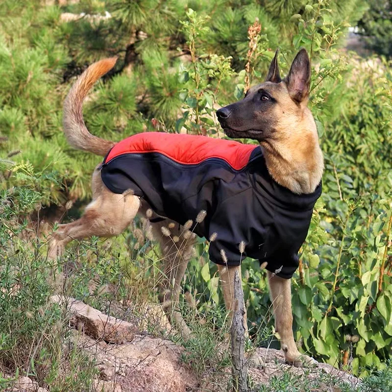 Одежда для собак на открытом воздухе, осенняя ветрозащитная и водонепроницаемая куртка для собак, пальто для домашних животных с золотыми волосами, лабрадор, самоед, для средних и больших собак