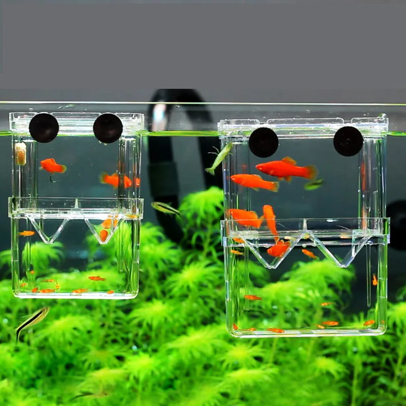 Acrylic Fish Tank Breeding Isolation Box Aquarium Hatchery Incubator