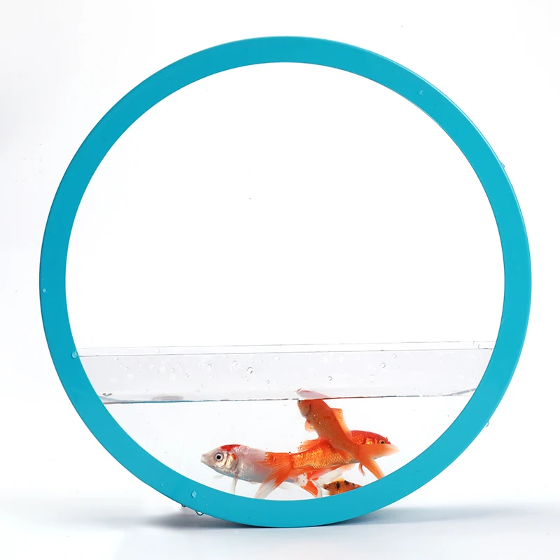 

Wall Planter Solid Color Iron Art Round Vase Hydroponics Plant Small Fish Tank Holder Hanging Wall Vases Home Decoration Crafts