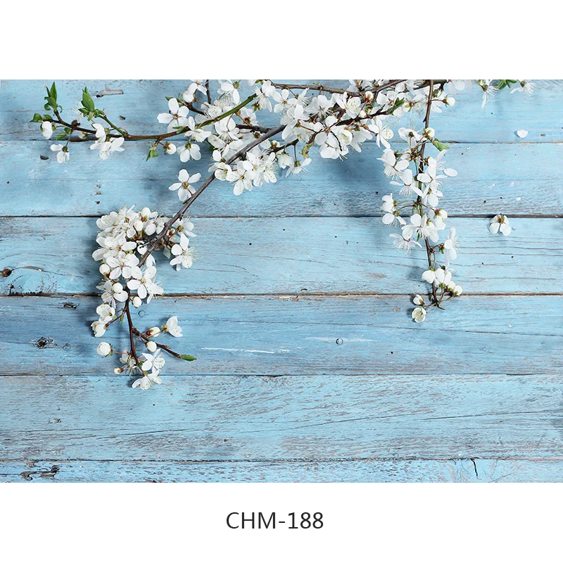      ǰ   κ  Ʃ  21710 CHM-13