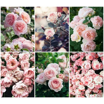 

HUACAN 5D Diamond Painting Full Square Flowers New Arrival Diamond Art Embroidery Rose Mosaic Handmade Home Decoration Gift