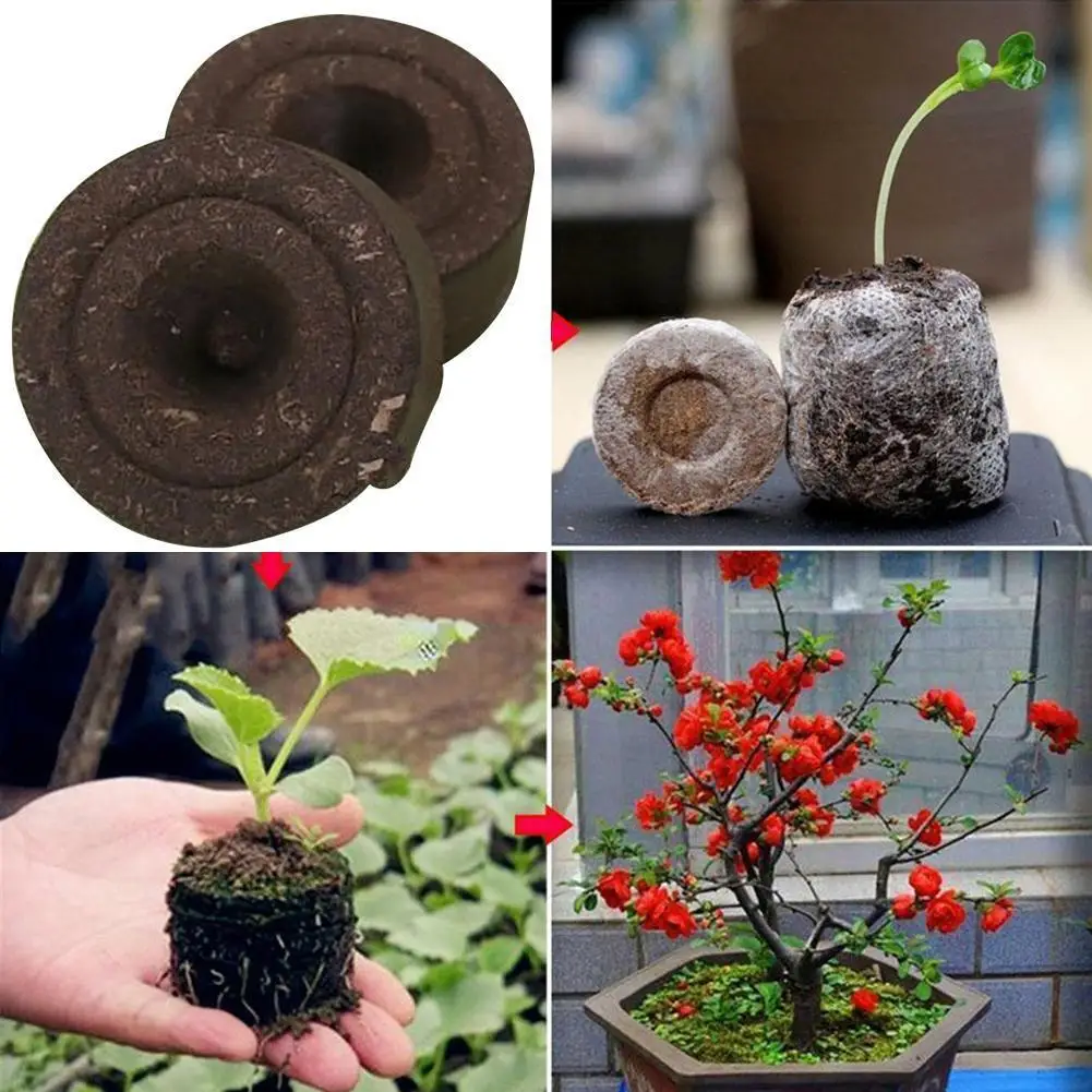 

Domestic seedling block compressed peat block mud nutrient substrate block charcoal block substrate cultivation sowing Q1K4
