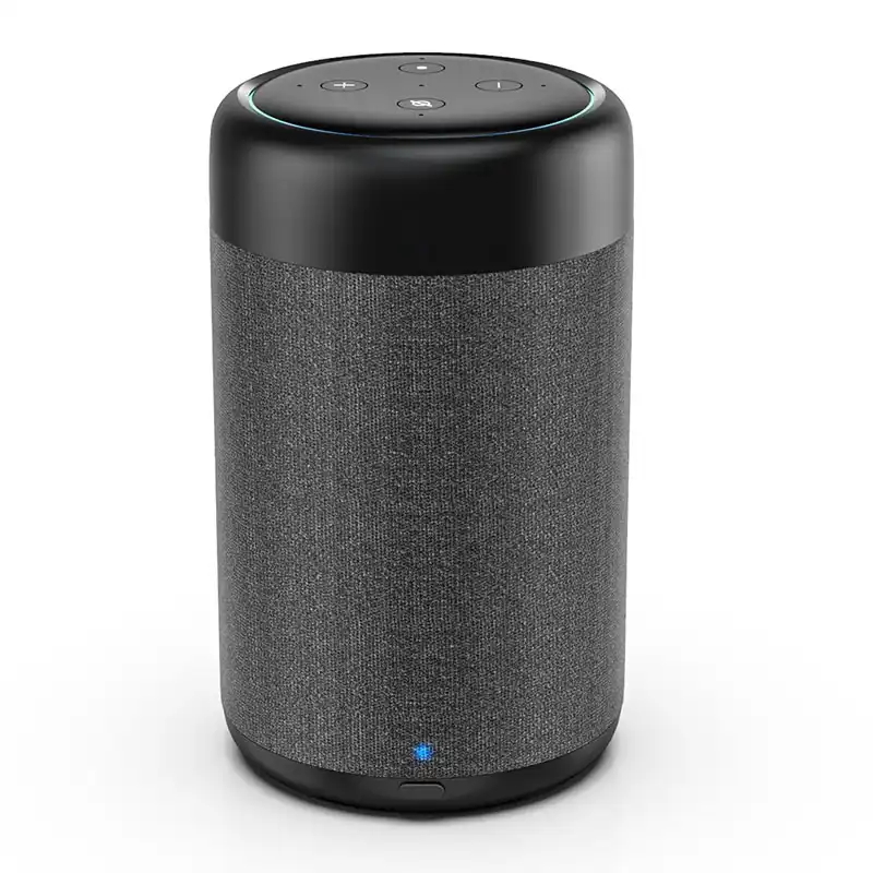 echo dot portable speaker