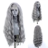 Charisma Sliver Grey Synthetic Lace Front Wig With Natural Hairline Water Wave Heat Resistant Wigs For Black Women ► Photo 3/6