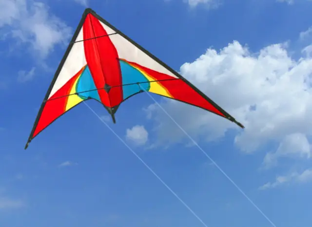 Outdoor Fun Sports  47 Inch Rainbow  Dual Line Stunt  Kites  /  1.2m  Kite  With Handle And Line Good Flying 4