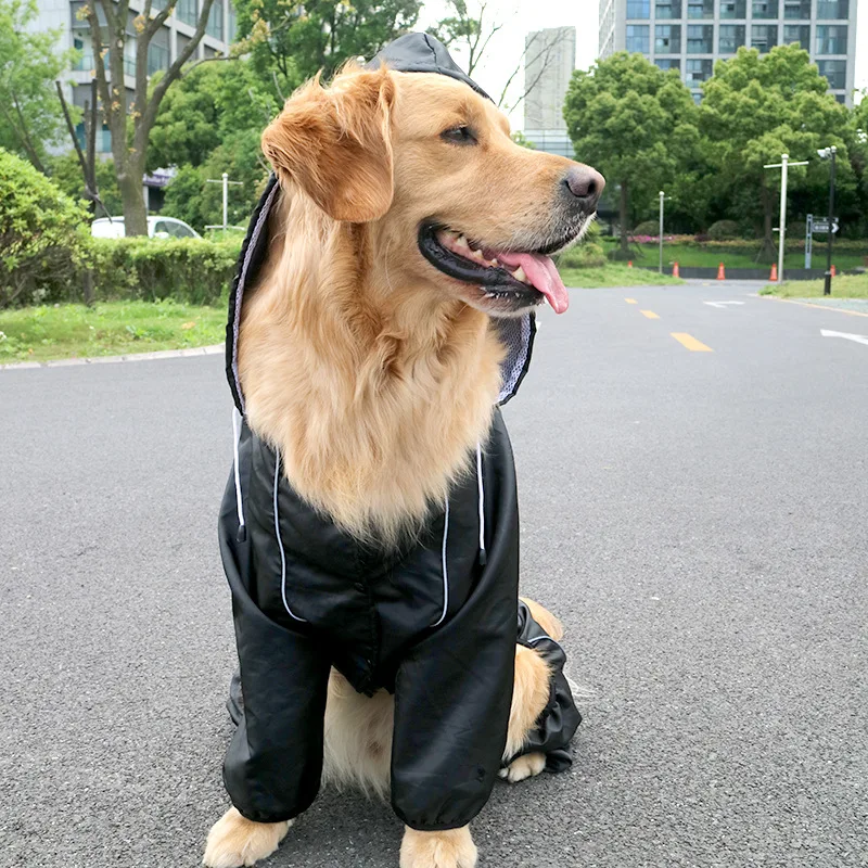 Cool Black Raincoat - Prestigious Raincoat In Domega