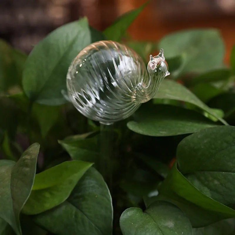 Домашнее растение автоматический самополив стеклянные птичьи поливочные банки цветы декоративные из прозрачного стекла поливочное устройство 12 форм DD - Цвет: f