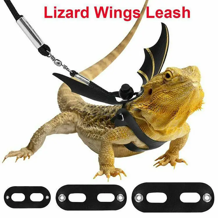 Correa de lagarto para reptiles, arnés para mascotas al aire libre, Chameleon, suministros de ardilla