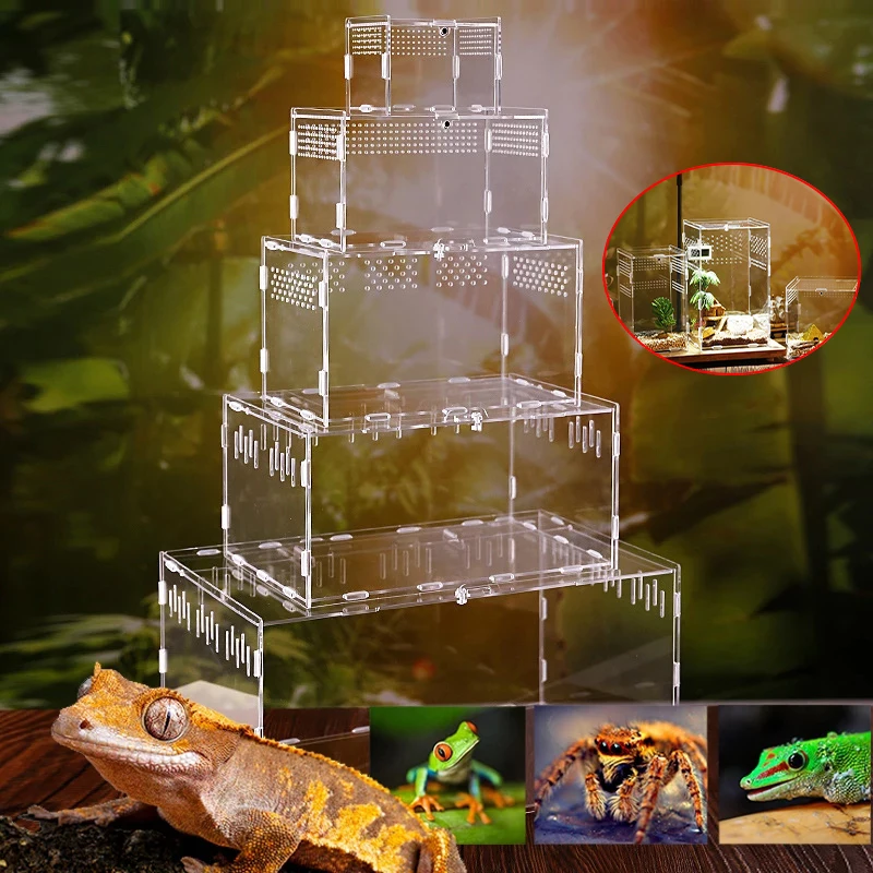 

Reptile Breeding Box Acrylic Transparent Spider Lizard Scorpion Enti's Acrylic Assembled Insect Breathable Terrarium