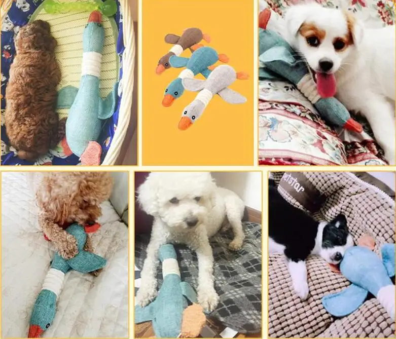 HTB1vUQKbojrK1RkHFNRq6ySvpXam