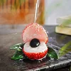 Resin Color Changing Litchi Tea Pet Accessories Household Office Fruits Decoration Play Toy Free Shipping ► Photo 3/6