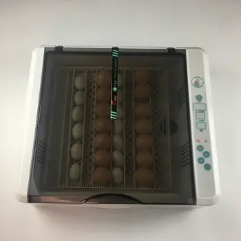

Full Automatic 36 Chicken Egg Incubator 120 Quail Egg High Capacity Digital Temperature Control Farm Poultry Hatchery Machine