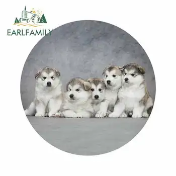 

EARLFAMILY 13cm x 13cm for Alaskan Malamute Puppies Dog Puppy Personality Creative Car Stickers DIY Anime Decals 3D Decoration