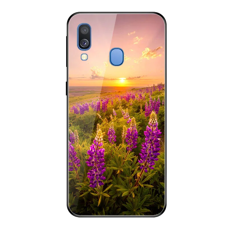 Geruide для Coque samsung A20E чехол, закаленное стекло чехол cubierta para Для Funda samsung Galaxy A20E A202F A 20E A20E чехол
