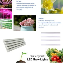 Лампа для теплицы, светильник для роста растений, s, Светодиодная лента, бар, AC_85-265V, фиолетовый светильник, штепсельная вилка США, светильник, аксессуар, садовая энергосберегающая лампа