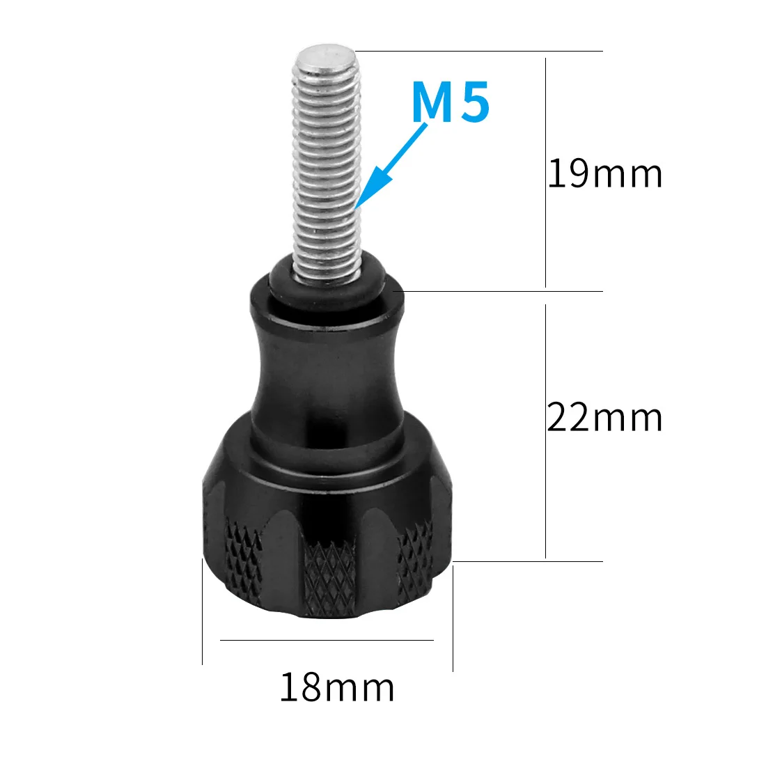 F24966 SIZE.jpg