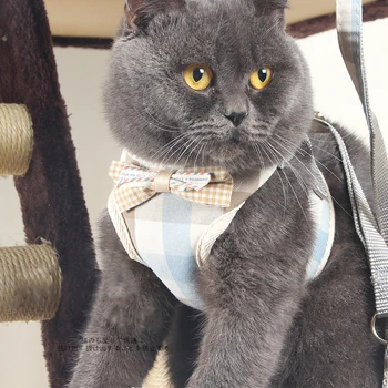 

Habanera Cat cord breast strap Vest Leash & Leash Reflective Kitten Cats Walking Nylon Puppy Collar Chest Strap for Small Dogs