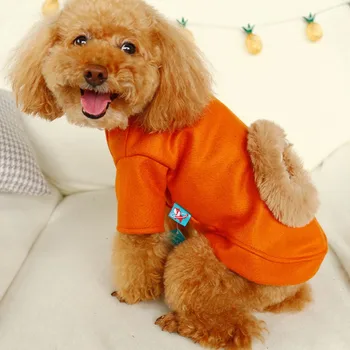 

Winter Dog Clothes Pet Costume Dogs Warm Orange Coat With Lion Pattern For Puppy Chihuahua Teddy Yorkie Thicken Clothing