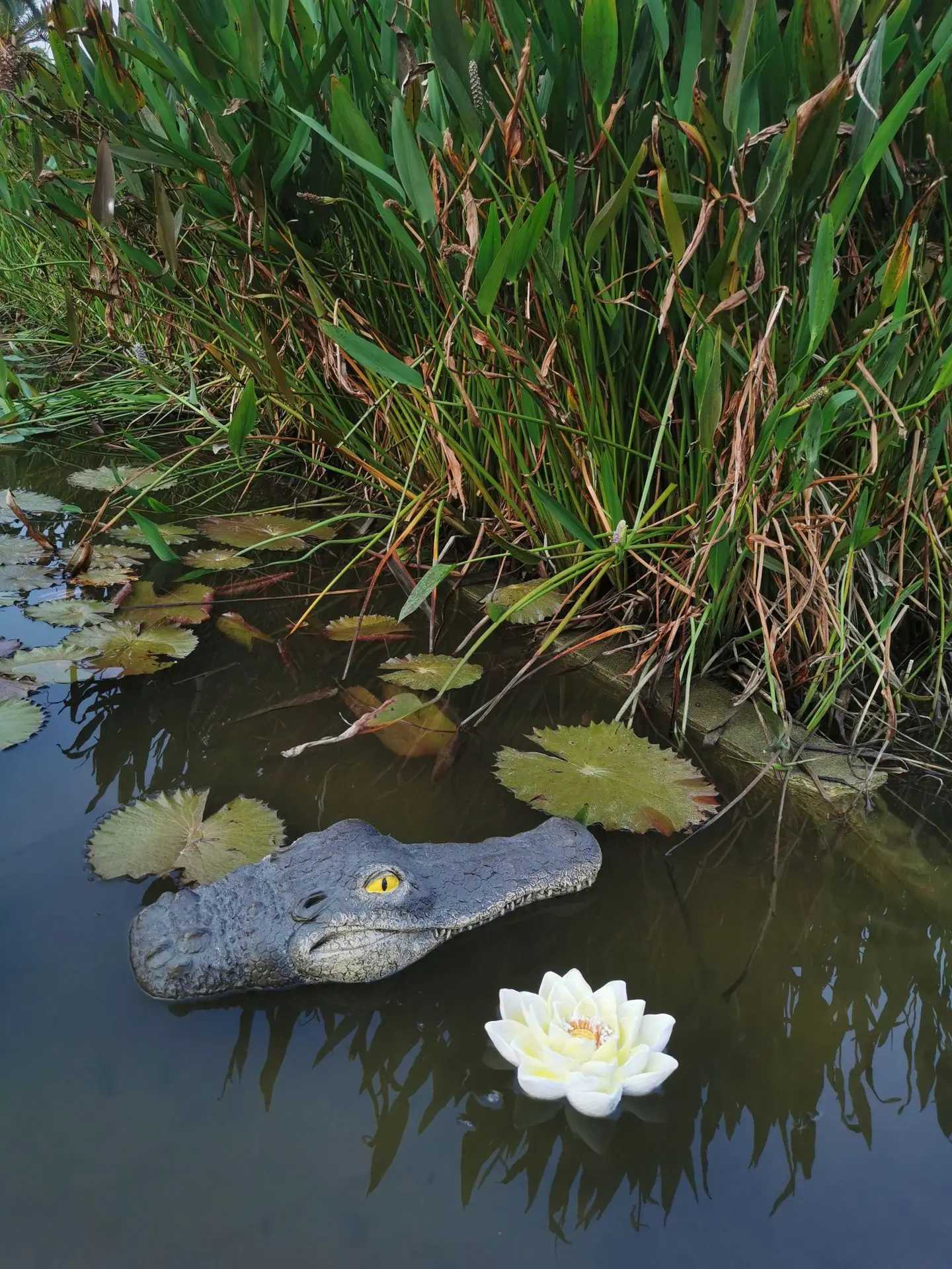 Большой размер плавающая голова крокодила имитация воды голова крокодила садовая приманка или пруд художественный декор для гусиного хищника героя