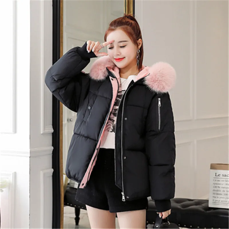 Новинка зимы 2019, хлопковое Женское пальто в Корейском стиле, плотное пуховое хлопковое пальто большого размера для студентов, Короткое