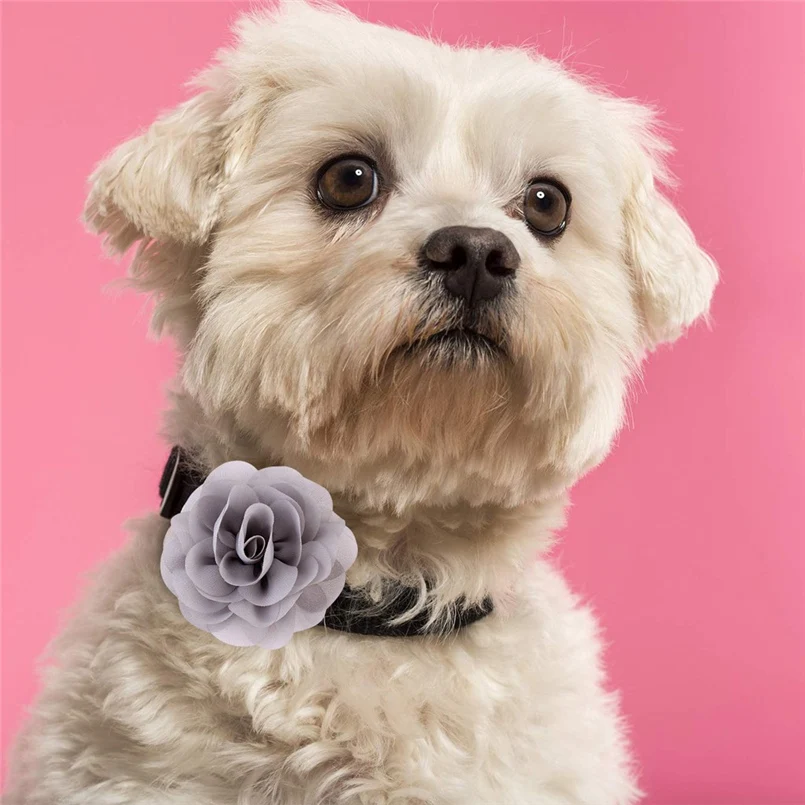 8cm Pet collar decoration big flower pet cat dog decoration flower party headwear pet collar accessories 30N11 (4)
