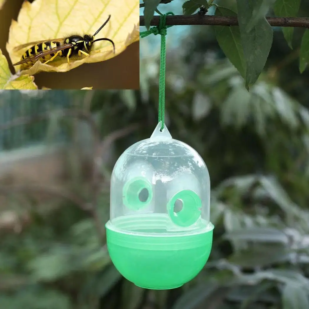 

Fly Hornet Trap Bee Catcher Insect Green Transparent Environmental Protection Wasp Trap