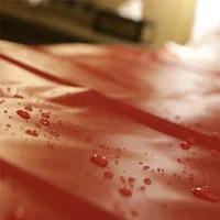Massage SPA s-e-x Waterproof Bed Sheets PVC Mattress Cover No allergies also can Prevent old people and children wetting the bed 2