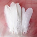 White 50pcs