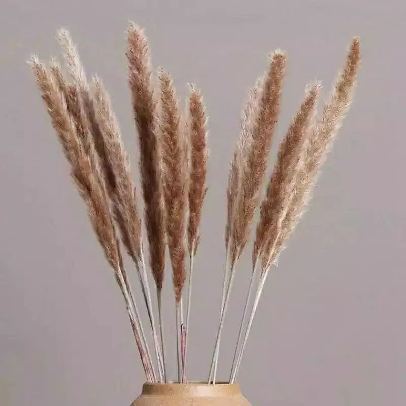 IMG_7794(20201126-205645).JPG IMG_7794(20201126-205645).JPG